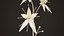 Zimmerpflanzen- und Blumen-Bundle