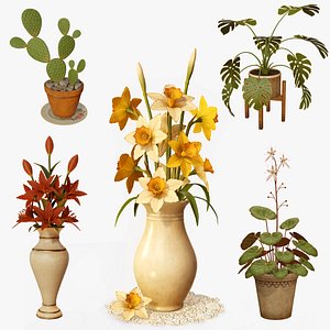 House Plants and Flowers Bundle