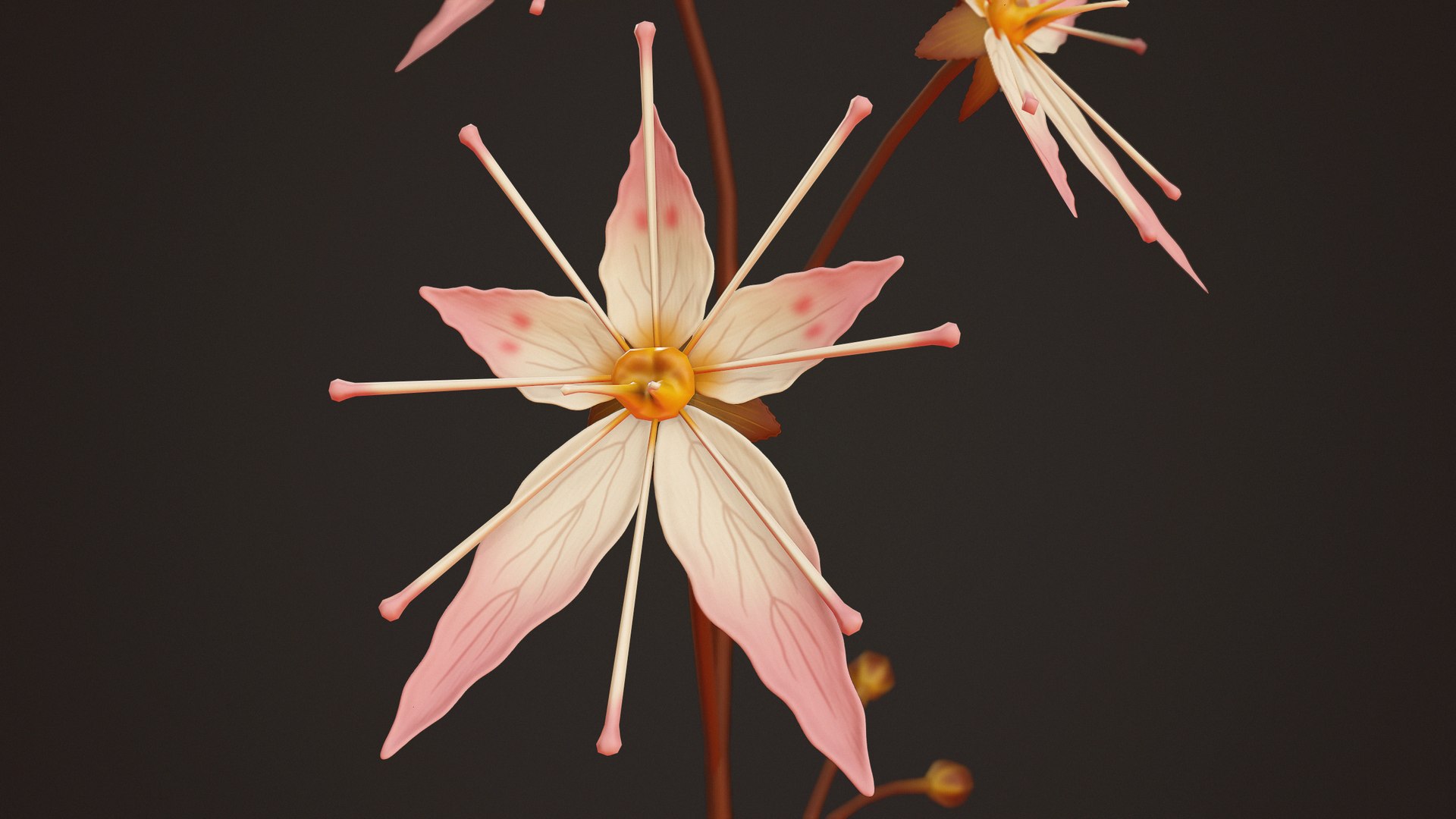 House Plants and Flowers Bundle model https://p.turbosquid.com/ts-thumb/B5/KceNiy/gA/49/jpg/1764610605/1920x1080/fit_q87/f58636985d64b2d9ea20cfad4bb14ee209a93b56/49.jpg