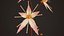 Zimmerpflanzen- und Blumen-Bundle