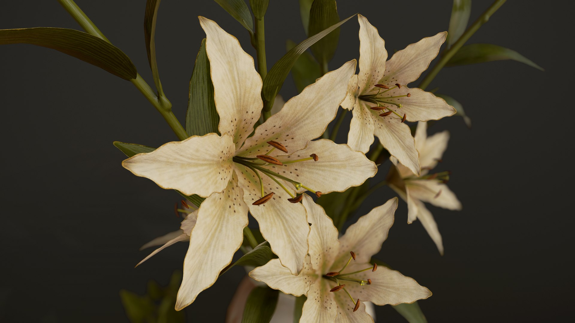 House Plants and Flowers Bundle model https://p.turbosquid.com/ts-thumb/B5/KceNiy/tr/15/png/1764605848/1920x1080/fit_q87/d96fccb66ba6ab360053b41254e70841378cc63f/15.jpg