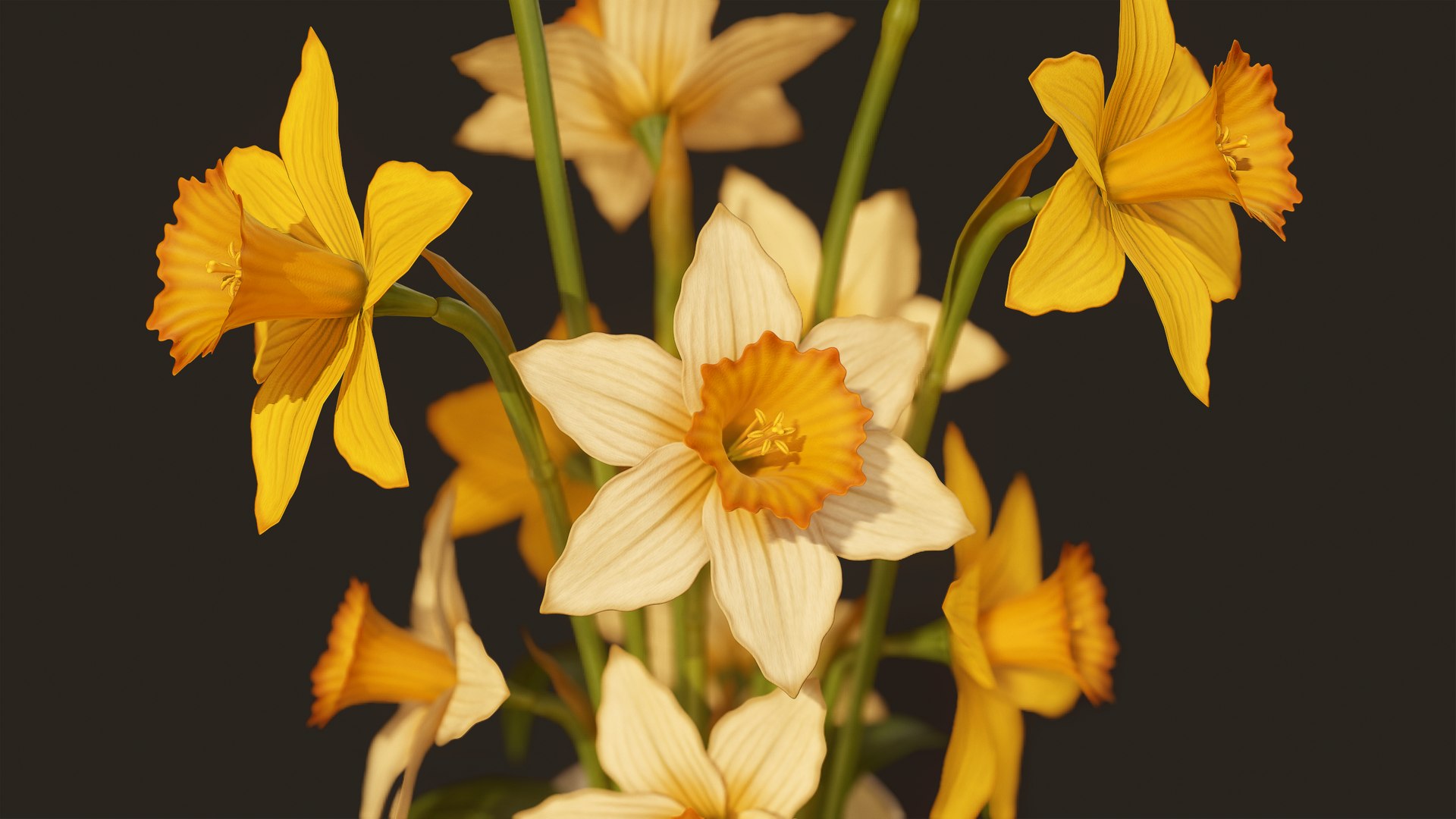 House Plants and Flowers Bundle model https://p.turbosquid.com/ts-thumb/B5/KceNiy/w5/06/png/1764604461/1920x1080/fit_q87/5869f1744b2b517fa46fc7c3d1e550e40b51bda1/06.jpg