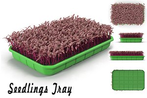3d seedling tray