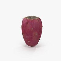 Opuntia