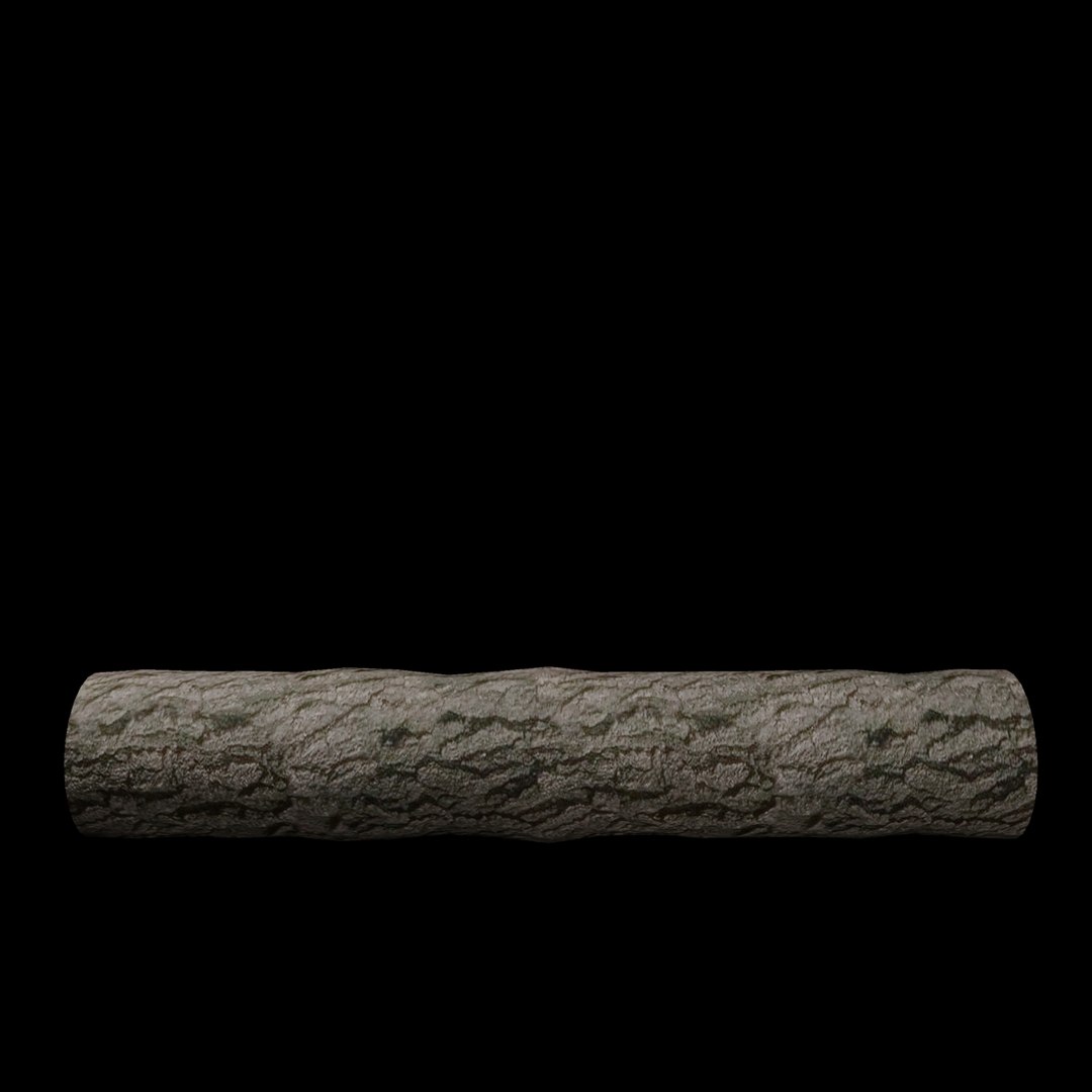 oak log max https://p.turbosquid.com/ts-thumb/B5/Vf8I9P/13RG6PW3/log0100003/jpg/1339155818/1920x1080/fit_q87/6b3bc3d89acb69e287d0cb748ccb93790ef7697a/log0100003.jpg