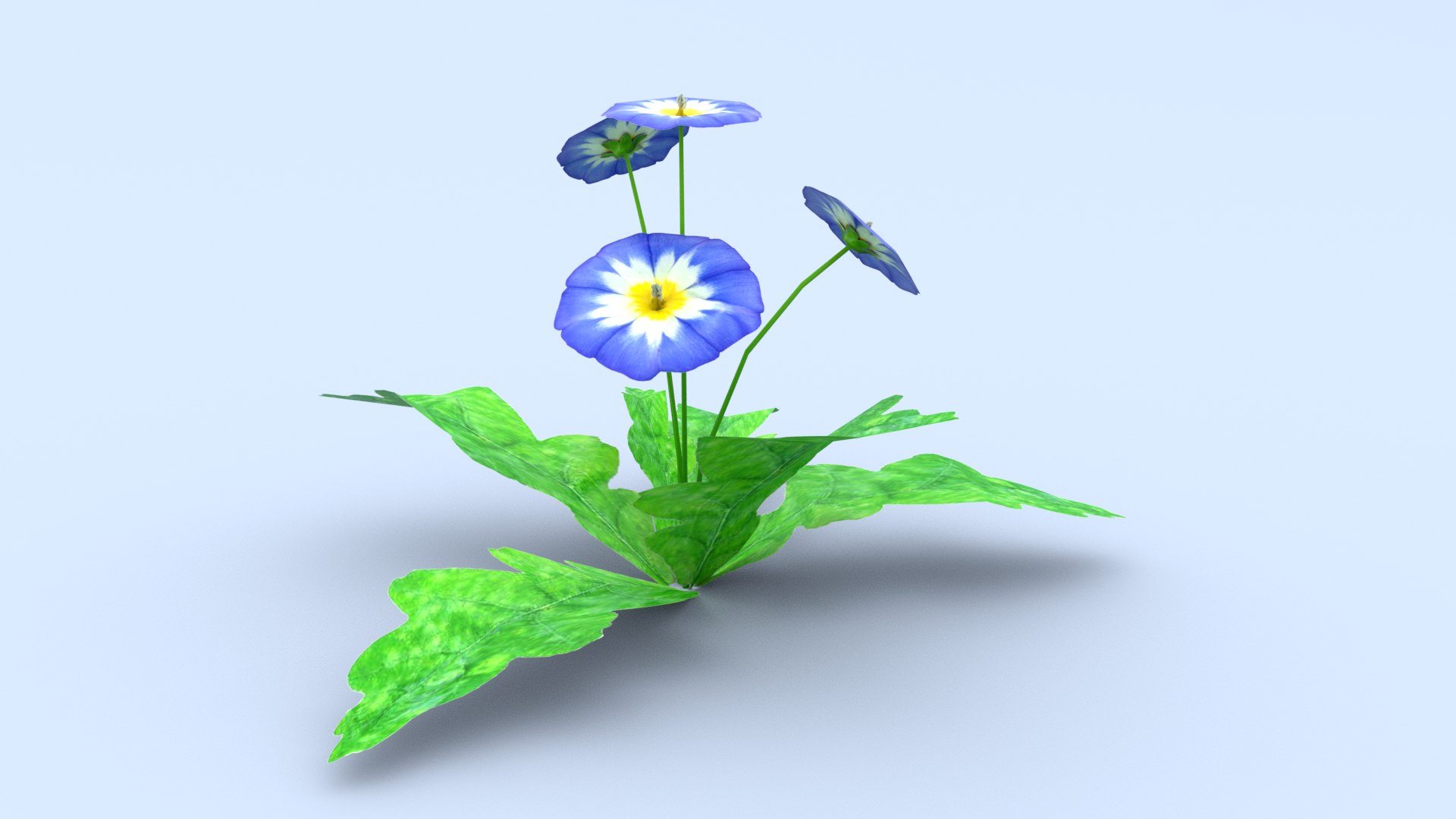 6 low poly flowers collection 2 Low-poly 3D model 3D model https://p.turbosquid.com/ts-thumb/B5/Vn7NmA/8Q/5/png/1728059732/1920x1080/fit_q87/51fd5becb8a08599f7e16f21d25f1f4270eb086b/5.jpg