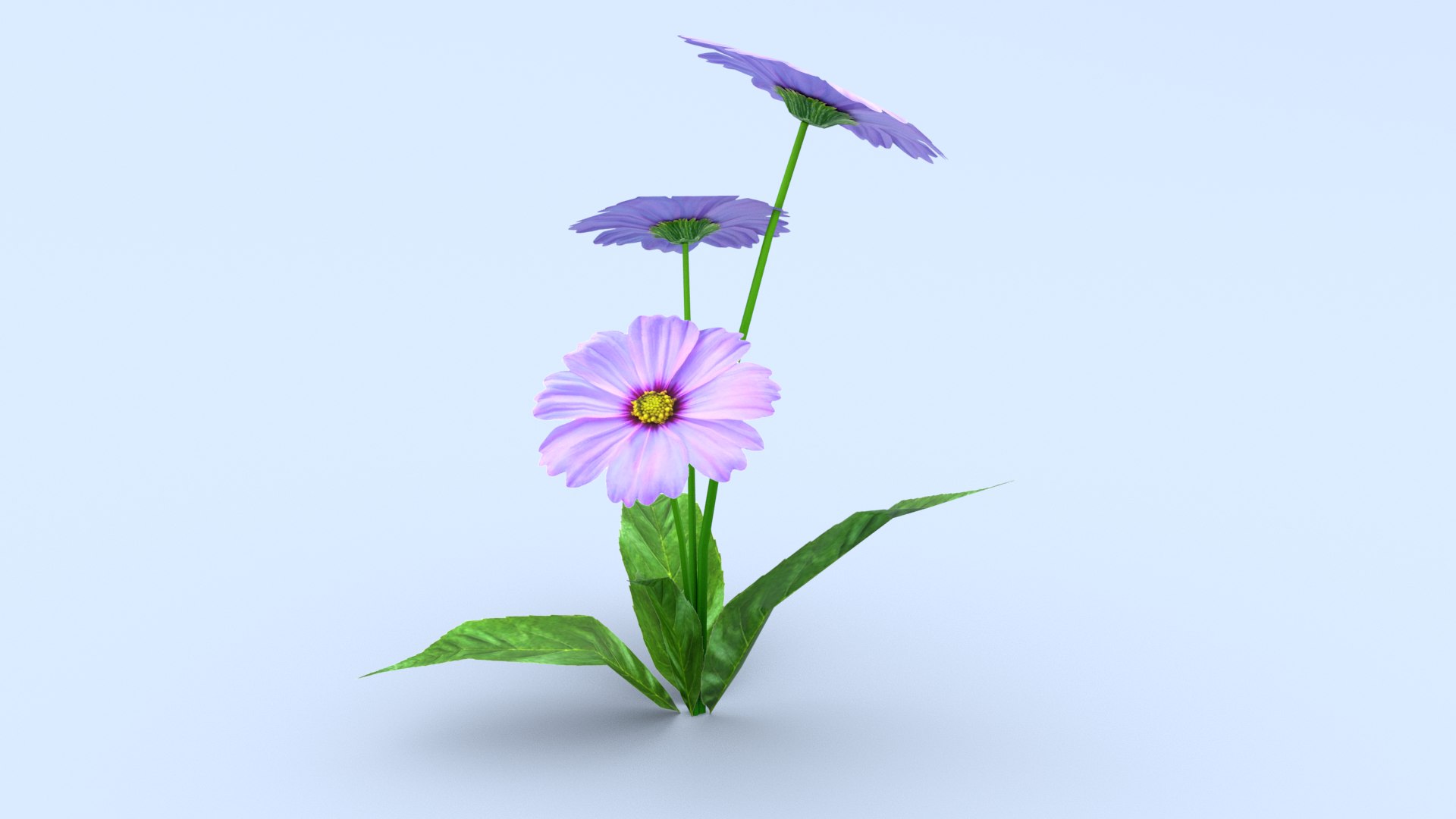 6 low poly flowers collection 2 Low-poly 3D model 3D model https://p.turbosquid.com/ts-thumb/B5/Vn7NmA/fX/6/png/1728059732/1920x1080/fit_q87/3a4d1f9f45b219974dc5ec6c6111f1135bb3e6d8/6.jpg