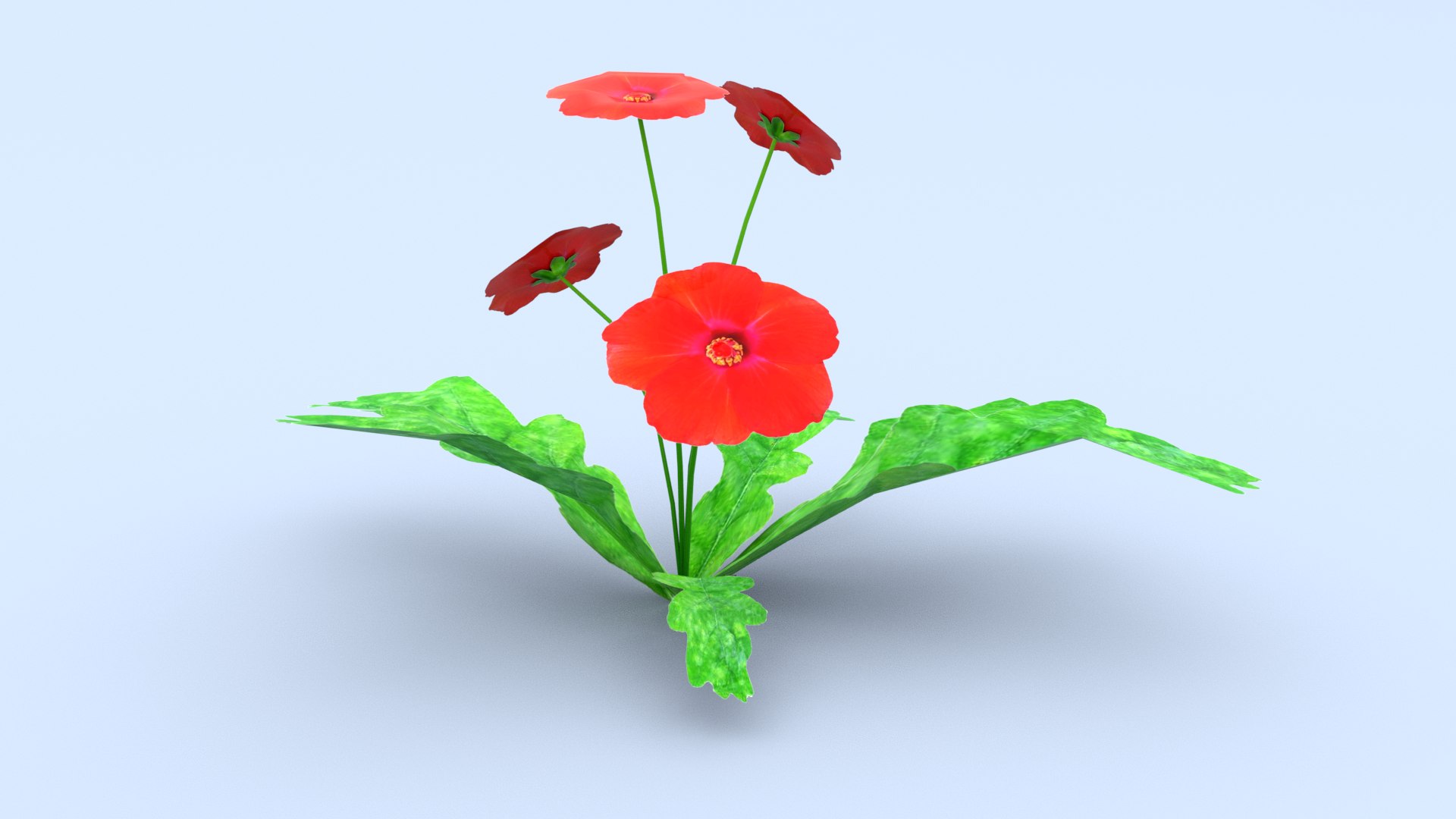 6 low poly flowers collection 2 Low-poly 3D model 3D model https://p.turbosquid.com/ts-thumb/B5/Vn7NmA/py/4/png/1728059714/1920x1080/fit_q87/9d1368d30d51d1a6c6e7ccb7662bdb8aa8dfb8e5/4.jpg