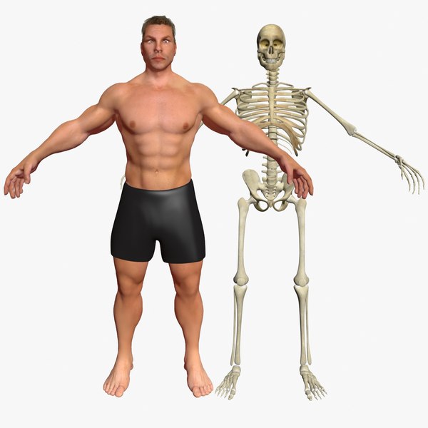 male skeleton max