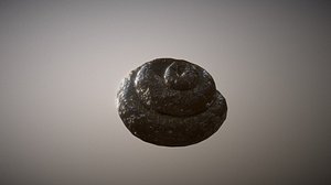 3D poop