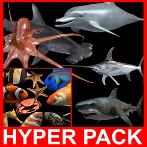 Hyper Water Pack (14 Rigged models)