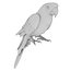 Ara Perroquet Fourrure Oiseau Animal