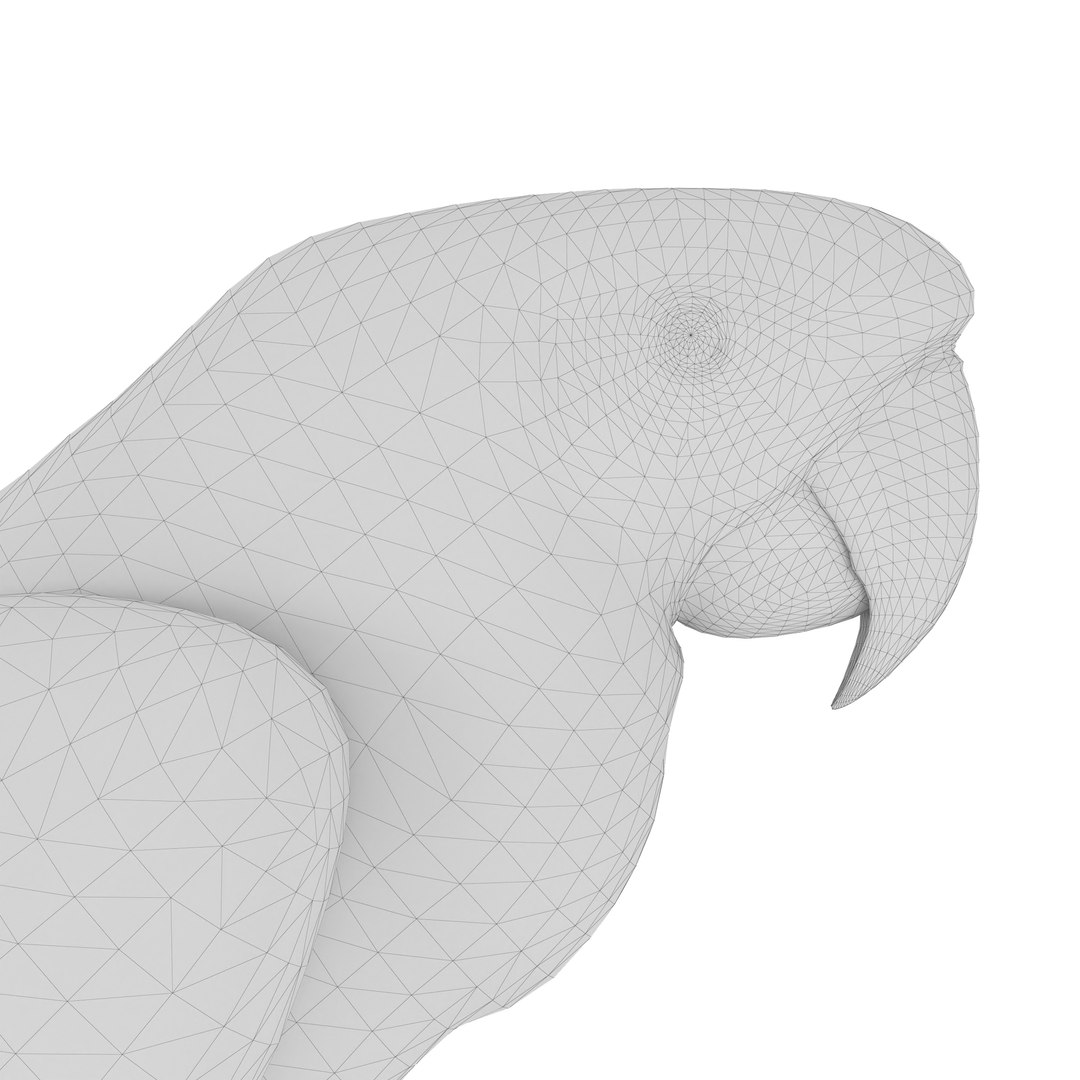 3D model Macaw Parrot Fur Bird Animal https://p.turbosquid.com/ts-thumb/B5/fEw3Gz/He/12/jpg/1723118065/1920x1080/fit_q87/5e8d38ecbc7acac87d5d9e79342585dc30faeed3/12.jpg