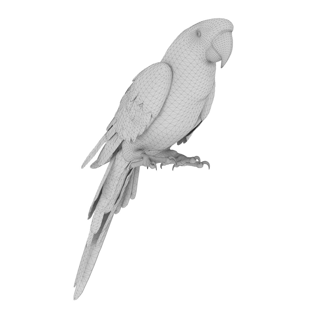3D model Macaw Parrot Fur Bird Animal https://p.turbosquid.com/ts-thumb/B5/fEw3Gz/JQ/4/jpg/1723118063/1920x1080/fit_q87/67b4596abac0671c7f24ef1c992c5822fb294f66/4.jpg