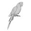 Ara Perroquet Fourrure Oiseau Animal