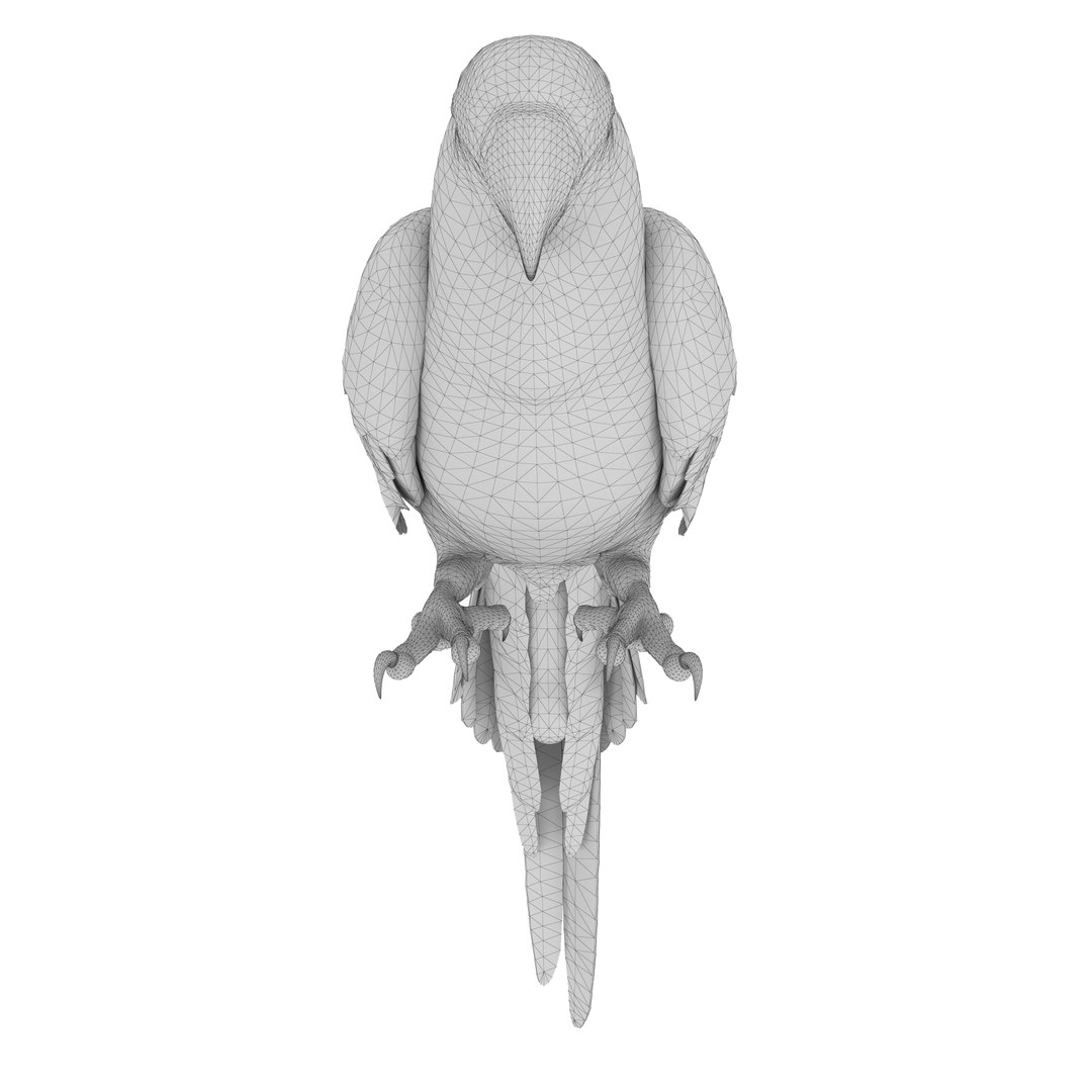 3D model Macaw Parrot Fur Bird Animal https://p.turbosquid.com/ts-thumb/B5/fEw3Gz/Kv/10/jpg/1723118065/1920x1080/fit_q87/c12328e583bdb6c9e903721787166f5c21910fd4/10.jpg