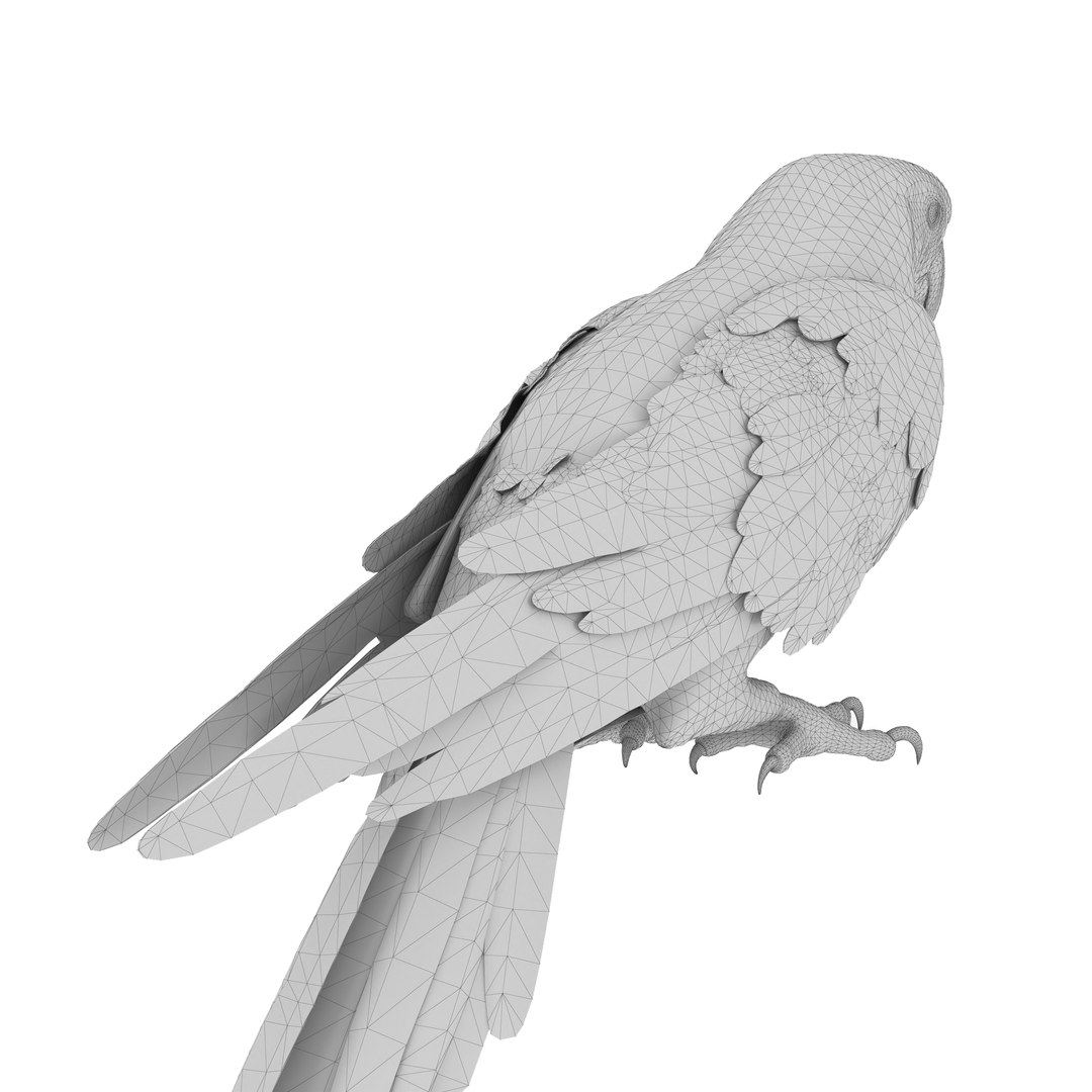 3D model Macaw Parrot Fur Bird Animal https://p.turbosquid.com/ts-thumb/B5/fEw3Gz/R6/6/jpg/1723118064/1920x1080/fit_q87/647deeaa9e2ab34a6bdfd45b7628493e2bb8723e/6.jpg