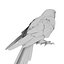 Ara Perroquet Fourrure Oiseau Animal