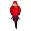 Ara Perroquet Fourrure Oiseau Animal
