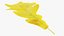Oak Leaves Collection V1 3D model