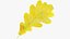 Oak Leaves Collection V1 3D model