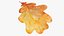 Oak Leaves Collection V1 3D model