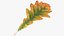 Oak Leaves Collection V1 3D model