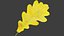 Oak Leaves Collection V1 3D model