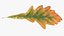 Oak Leaves Collection V1 3D model
