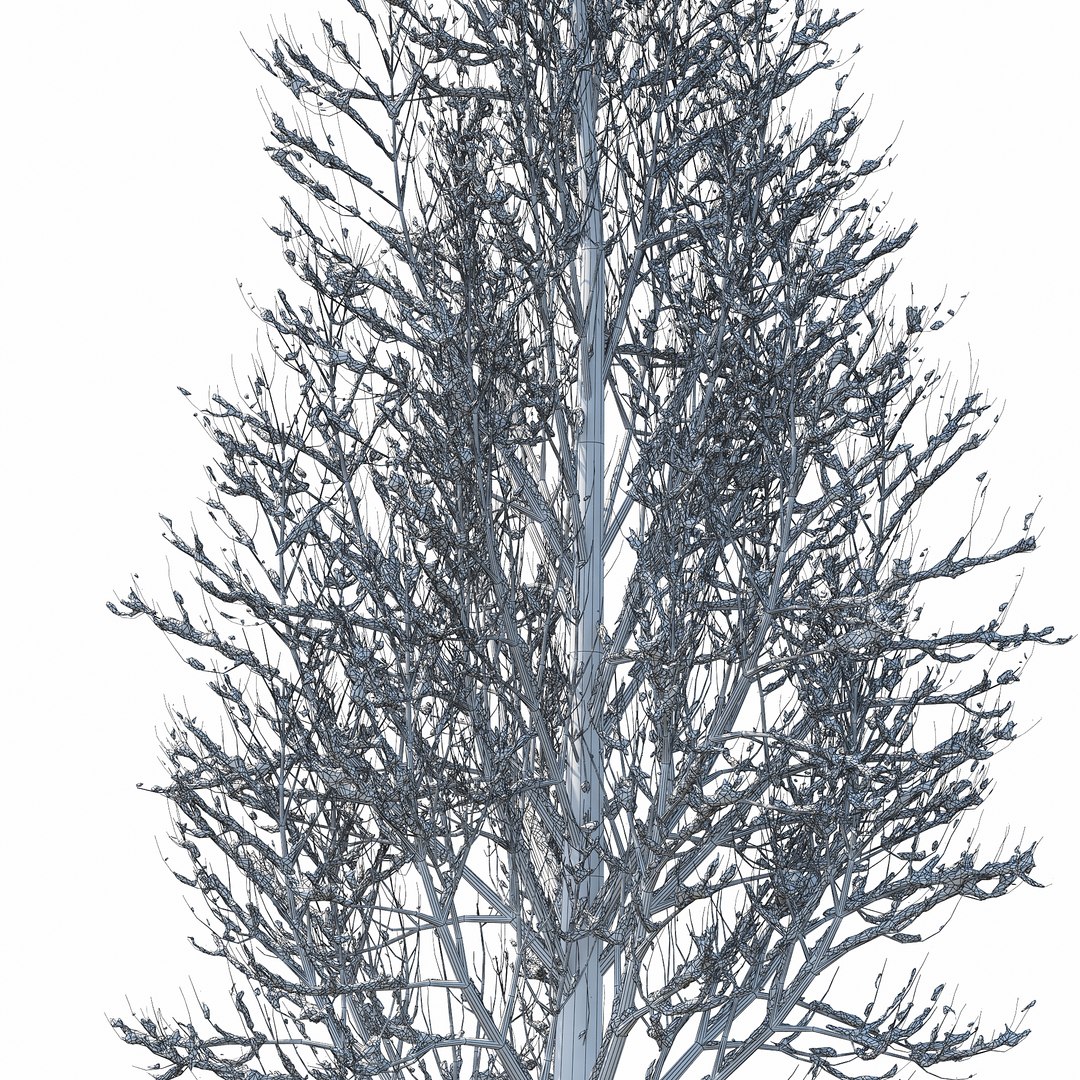 Winter Tree 016 3D Model - TurboSquid 1229337