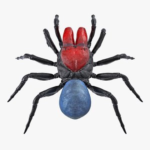 3D mouse spider rigged