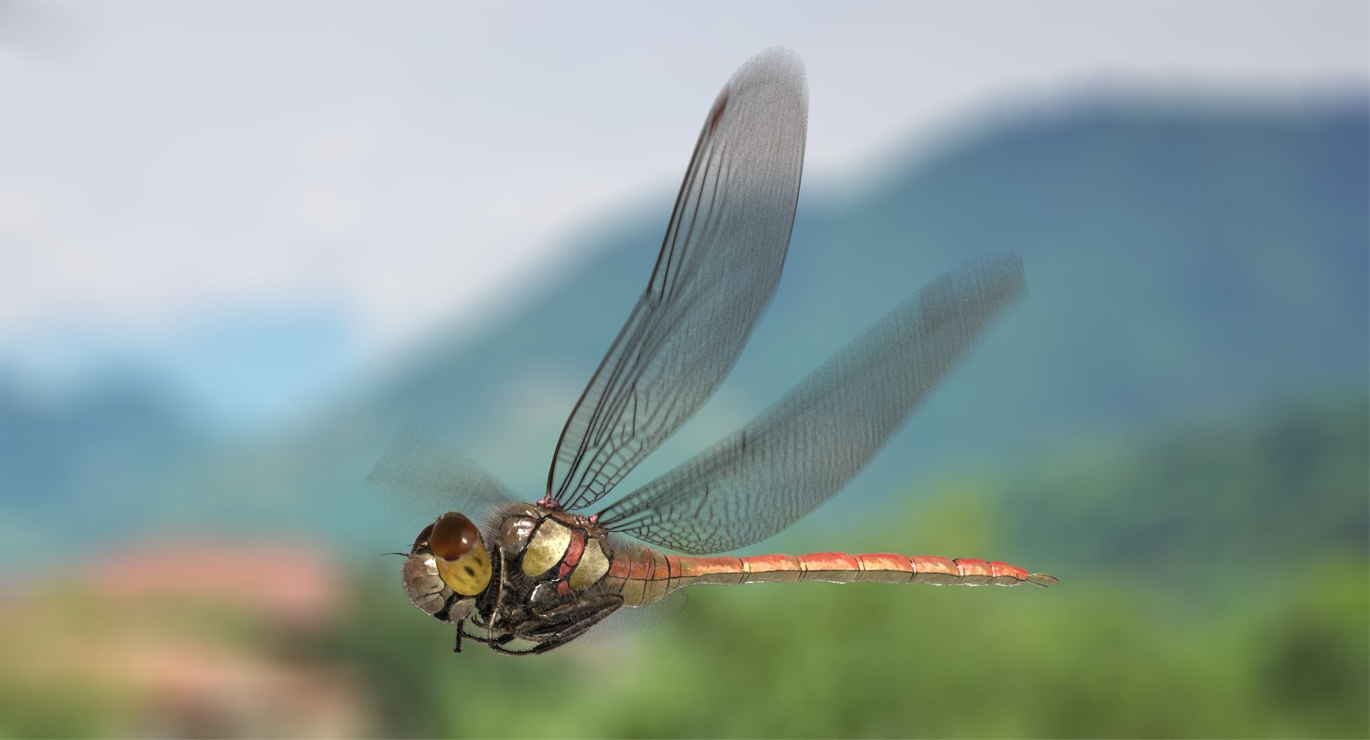 3D dragonfly common darter animation flying https://p.turbosquid.com/ts-thumb/B6/BxWXA8/15x4nqp6/ra03/jpg/1540445925/1920x1080/fit_q87/22caefc0b4106ea1efa51adb57fa286adcba9a0c/ra03.jpg