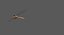 3D dragonfly common darter animation flying