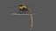 3D dragonfly common darter animation flying