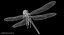 3D dragonfly common darter animation flying