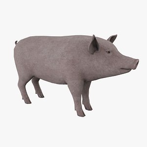 Pig low-poly 3D model