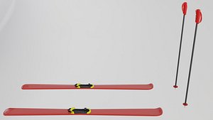 3D Skis and sticks