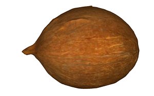 3D coconut real