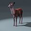 Red Deer Doe(FUR)(RIGGED)