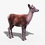 Red Deer Doe(FUR)(RIGGED)