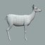 Red Deer Doe(FUR)(RIGGED)