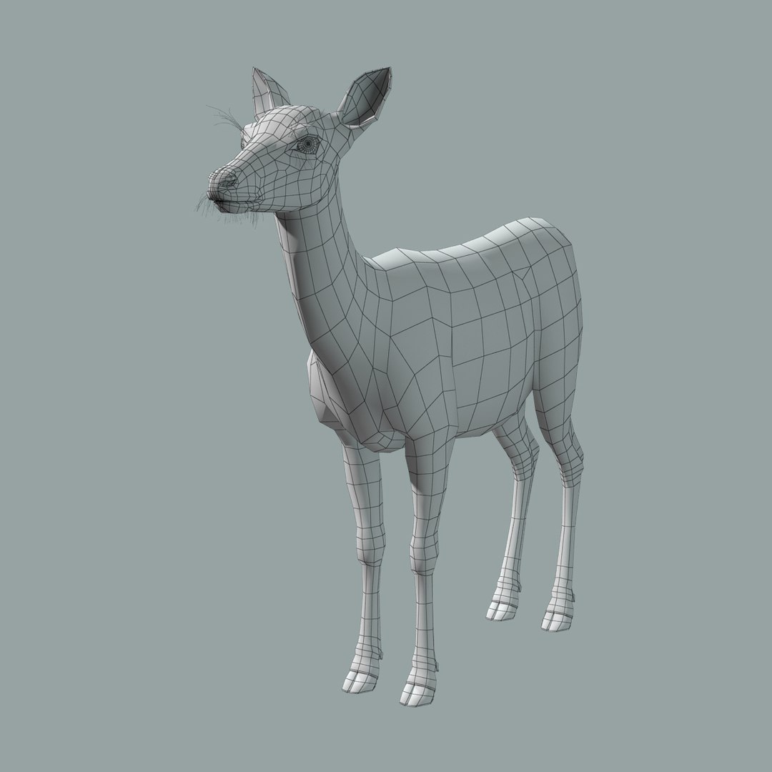 red deer doe fur 3d model https://p.turbosquid.com/ts-thumb/B6/WEPASZ/GwYmlC05/red_doe_fur_18/jpg/1445932099/1920x1080/fit_q87/530bd83d55b444af73a55814bd4788bfda8db03d/red_doe_fur_18.jpg