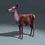 Red Deer Doe(FUR)(RIGGED)