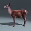 Red Deer Doe(FUR)(RIGGED)