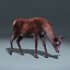 Red Deer Doe(FUR)(RIGGED)