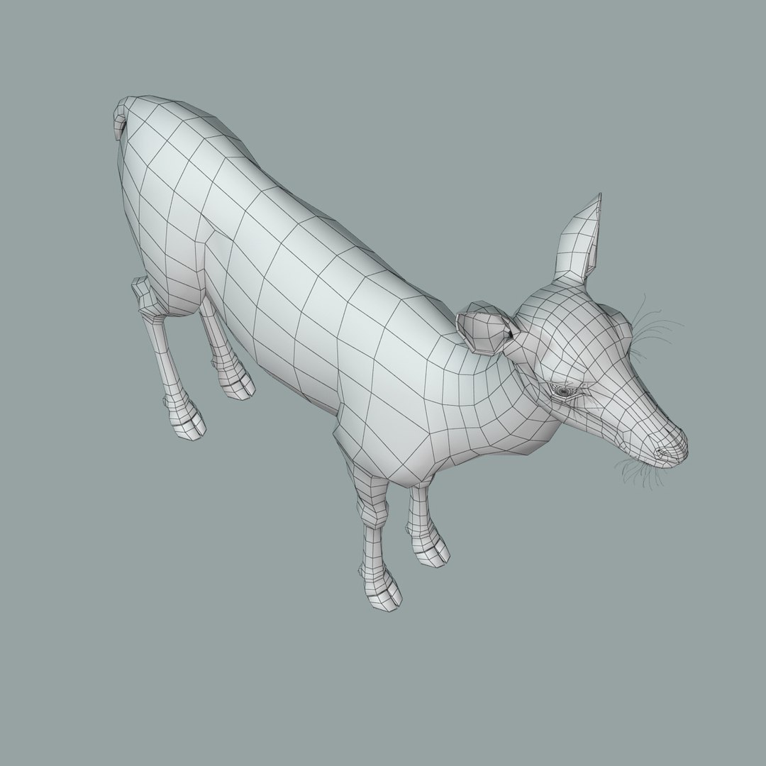 red deer doe fur 3d model https://p.turbosquid.com/ts-thumb/B6/WEPASZ/ieO6Ib6Y/red_doe_fur_17/jpg/1445932099/1920x1080/fit_q87/7c817931bcee600fc28844f8c820079f4868ec6c/red_doe_fur_17.jpg