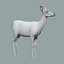 Red Deer Doe(FUR)(RIGGED)