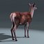 Red Deer Doe(FUR)(RIGGED)