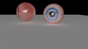 3D eyes model