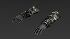 Arm